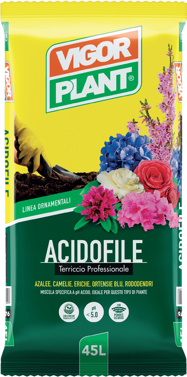 Terriccio Per Piante Acidofile 25 Litri | In Secchio Richiudibile | Con Concime A Lenta Cessione E Attivatore Radicale