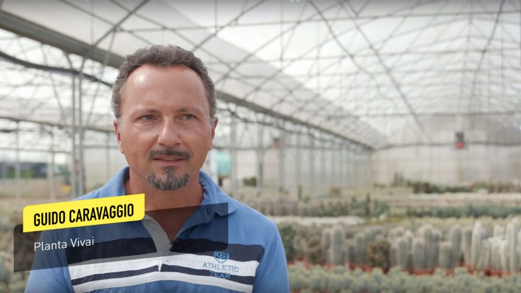 Eazy Plug: Substrato Per Germinazine E Taleaggio